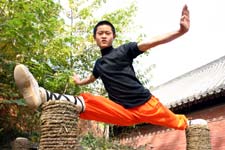 Kung fu training
